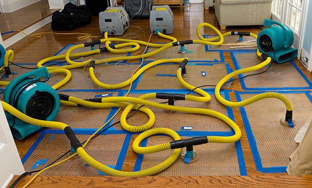 Professional Structural Drying And Dehumidification technician working in Galena, IL